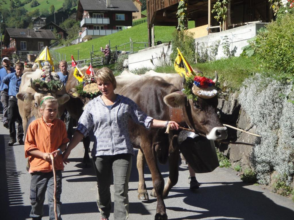 Urirotstock Hotel Isenthal