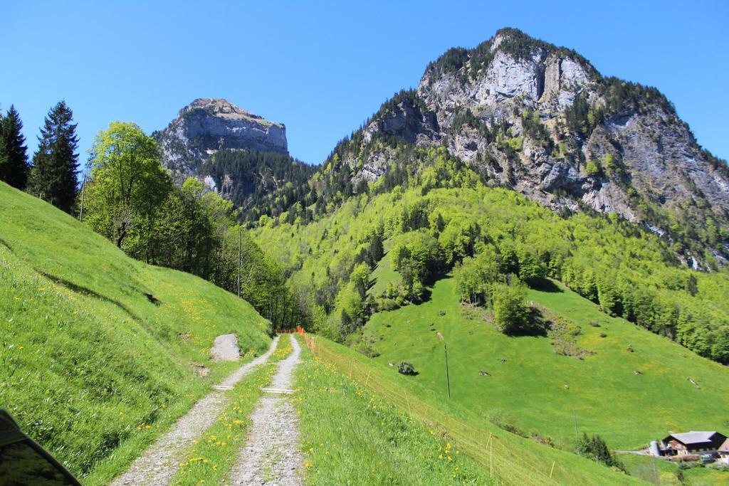 Urirotstock Isenthal